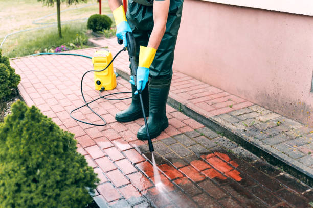 Best Deck Cleaning Services  in Mayer, MN