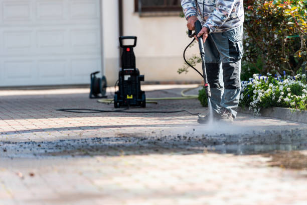 Best Sidewalk Pressure Washing  in Mayer, MN