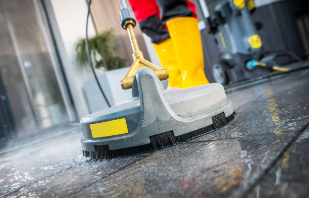 Best Pressure Washing Near Me  in Mayer, MN