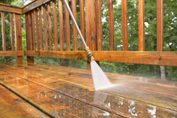 Roof Power Washing Services in Mayer, MN